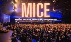 mice2