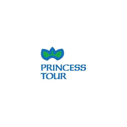 Princess Tour Princess Tour