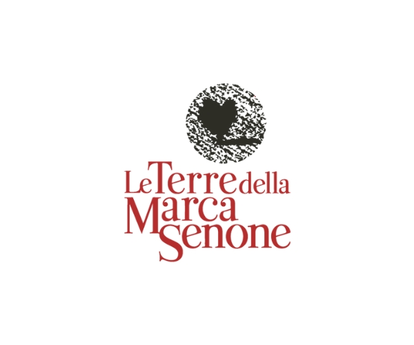 Terre della Marca Senone